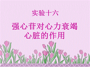 药理实验强心苷对衰竭心脏的作用.ppt