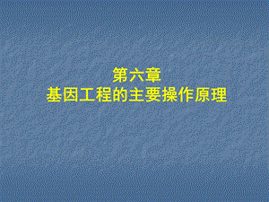 自学内容1基因工程基本操作.ppt