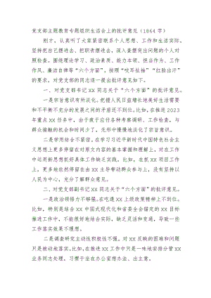 党支部主题教育专题组织生活会上的批评意见.docx
