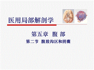 腹股沟区和阴囊.ppt