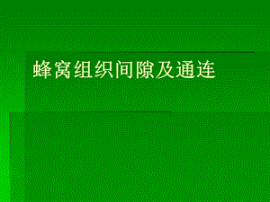 蜂窝组织间隙及通连.ppt