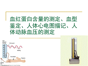 血红蛋白含量的测定血型鉴定.ppt