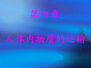 血液流通的管道.ppt