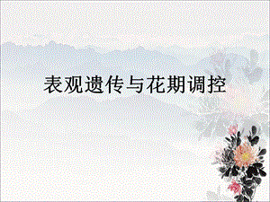 表观遗传与花期调控2003.ppt