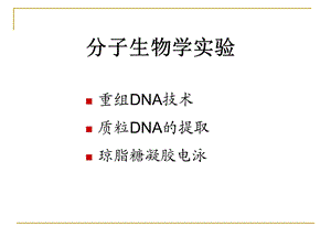质粒提取实验11.ppt
