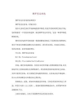 佛罗里达鸡龟.docx