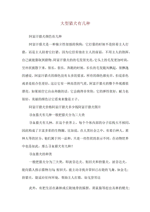 大型猎犬有几种.docx