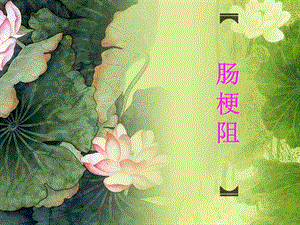 荷塘绿植物.ppt
