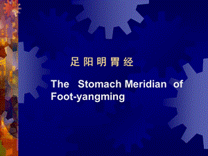 足阳明胃经教学课件.ppt
