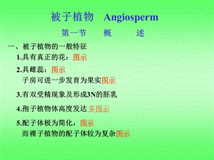 被子植物课件竞赛辅导.ppt