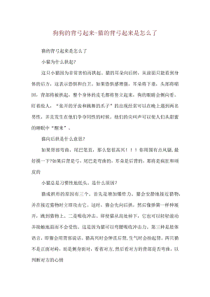 狗狗的背弓起来-猫的背弓起来是怎么了.docx