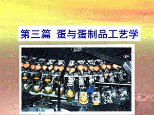蛋与蛋制品1.ppt