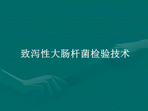 致泻性大肠杆菌.ppt