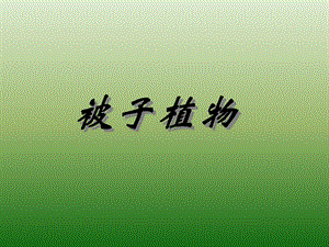 被子植物分类学11.ppt