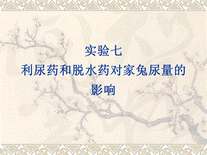 药理学实验7利尿药和脱水药对家兔尿量的影响.ppt