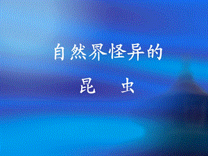自然界怪异的昆虫.ppt