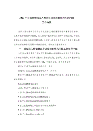 2023年县医疗领域深入整治群众身边腐败和作风问题工作方案精选10篇.docx