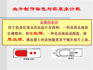 血片制作改.ppt