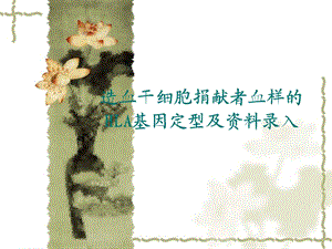 造血干细胞捐献者的HLA基因分型.ppt