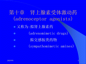 药理学肾上腺素受体激动药.ppt