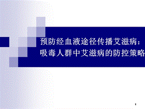 艾滋病防控策略一吸毒人群.ppt