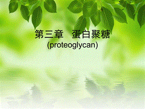 蛋白聚糖.ppt