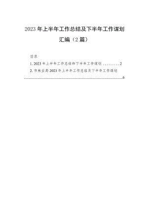 2023年上半年工作总结及下半年工作谋划汇编（2篇）.docx