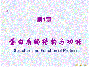 蛋白质的结构与功能.ppt