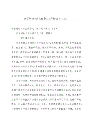 新学期初三班主任个人工作计划（14篇）.docx