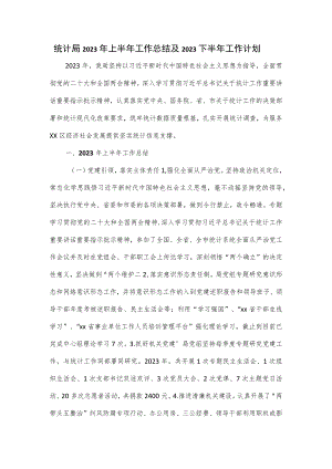 统计局2023年上半年工作总结及2023下半年工作计划.docx