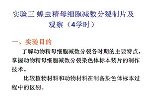 蝗虫精母细胞减数分裂制片及观察4学时.ppt