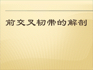 膝关节前交叉韧带的解剖.ppt