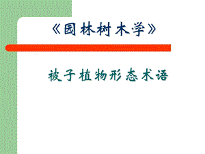 被子植物形态术语自学.ppt