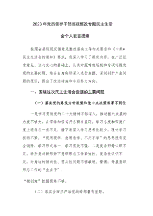2023年党员领导干部巡视整改专题民主生活会个人发言提纲范文.docx