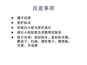 躯干骨10级.ppt