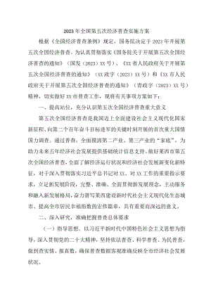 2023年开展全国第五次经济普查实施方案 合计3份.docx