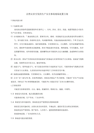 自然灾害引发的生产安全事故现场处置方案.docx