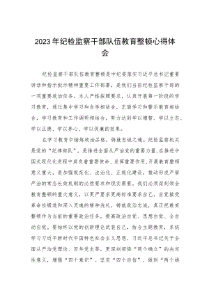 纪检监察干部队伍教育整顿心得体会最新版(八篇).docx