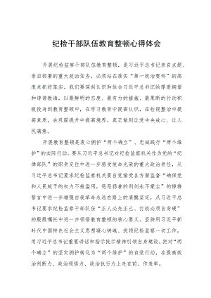 2023纪检干部队伍教育整顿学习感悟(十篇).docx