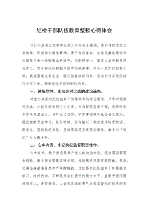 2023年纪检监察干部队伍教育整顿心得体会最新范文(五篇).docx