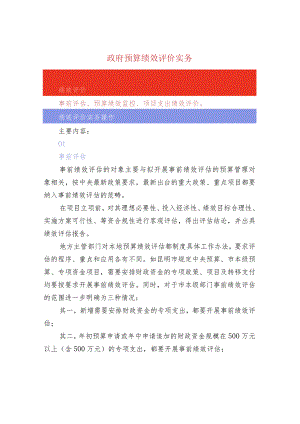 政府预算绩效评价实务.docx