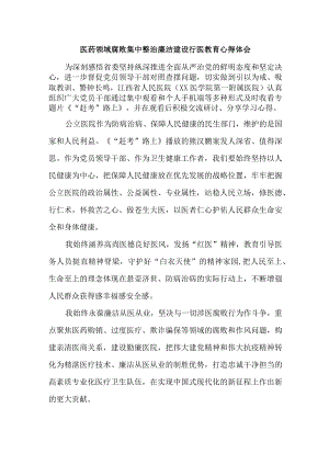 公立医院2023年医药领域腐败集中整治廉洁建设行医教育心得体会 汇编4份.docx