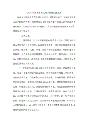 2023年乡镇开展全国第五次经济普查专项实施方案 （2份）.docx