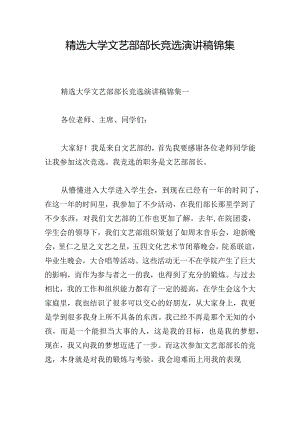 精选大学文艺部部长竞选演讲稿锦集.docx
