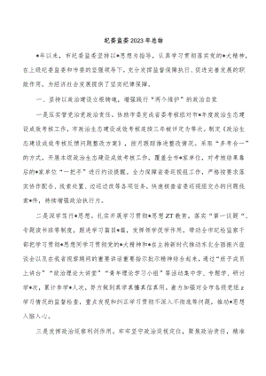纪委监委2023年总结.docx