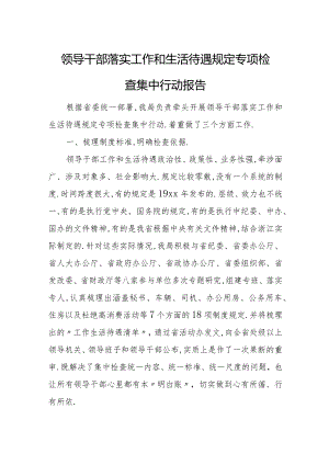 领导干部落实工作和生活待遇规定专项检查集中行动报告.docx