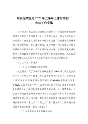 裕安区数管局2023年上半年工作总结和下半年工作安排.docx
