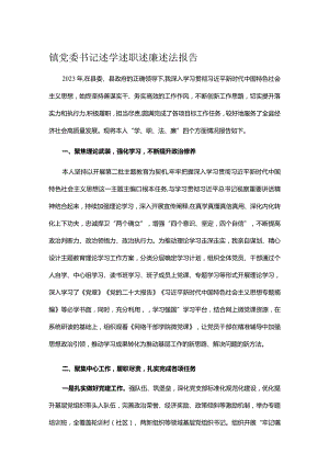 镇党委书记述学述职述廉述法报告.docx