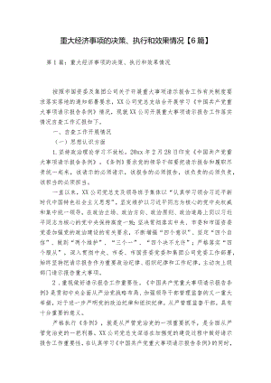 重大经济事项的决策、执行和效果情况【6篇】.docx