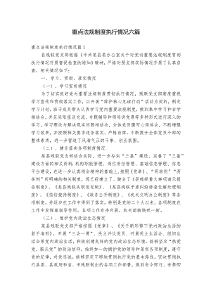 重点法规制度执行情况六篇.docx
